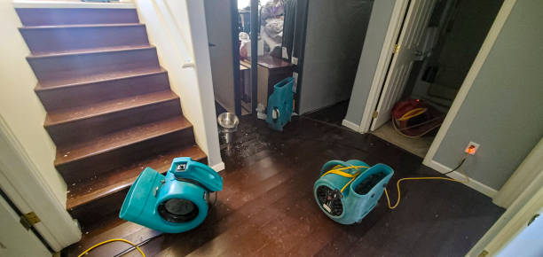 Best Water damage restoration near me  in Wilderness Rim, WA