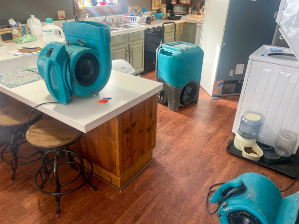 Best 24-hour water damage restoration  in Wilderness Rim, WA