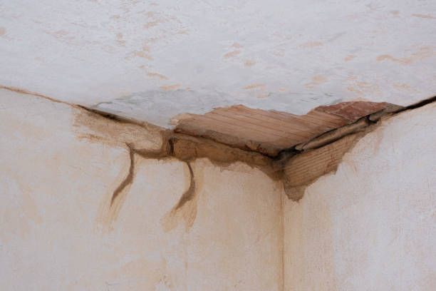 Sewage cleanup and water damage restoration in WA