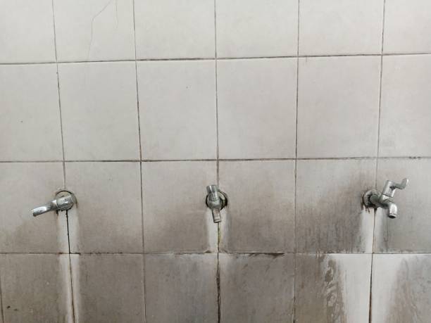 Best Residential water damage restoration  in Wilderness Rim, WA