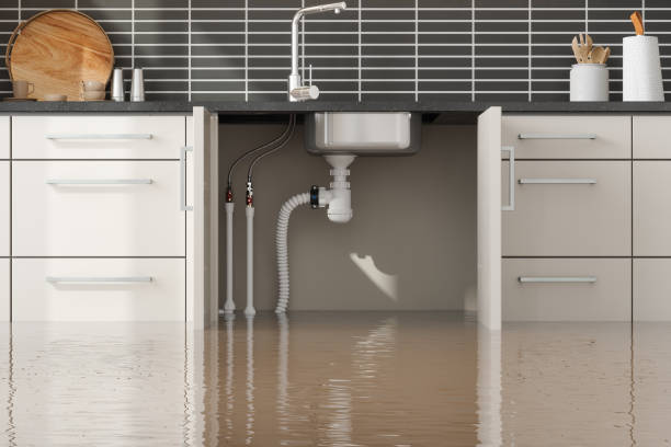 Best Water damage restoration specialists  in Wilderness Rim, WA