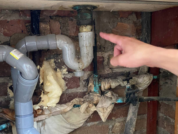 Best Sewage cleanup and water damage restoration  in Wilderness Rim, WA